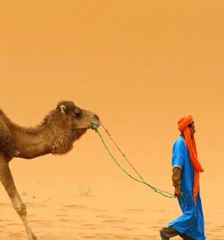 2 Day Fes to Merzouga and Marrakech