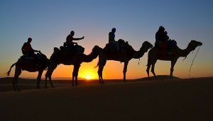2 Day Tour from Fes to Merzouga and Marrakech