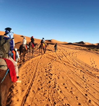 Tours from Ouarzazate