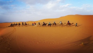 2 Day Tour Marrakech To Merzouga