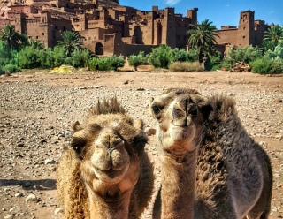 Morocco Berber Travel