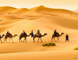 4 Days New Year tour from Fez to desert,Fes Christmas trip to Merzouga and Marrakech