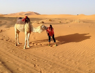 Morocco Berber Travel