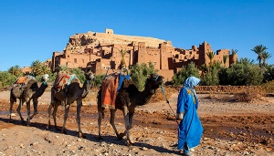 2 Days tour from Casablanca to Ouarzazate,2-day Casablanca excursion to Ouarzazate