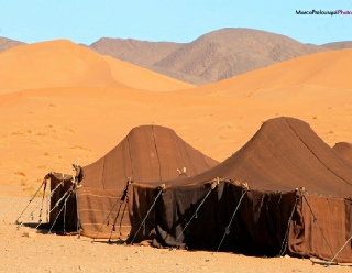 Morocco Berber Travel