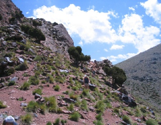 Morocco Berber Travel