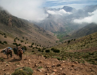 Morocco Berber Travel