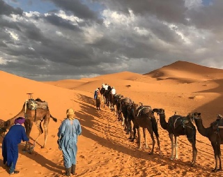 Morocco desert tours for students,adventure group travel for children and parents