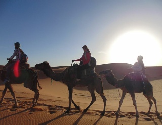 Morocco Berber Travel