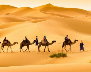4 Days New Year tour from Fez to desert,Fes Christmas trip to Merzouga and Marrakech